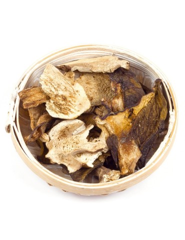 Boletus deshidratado granel 2