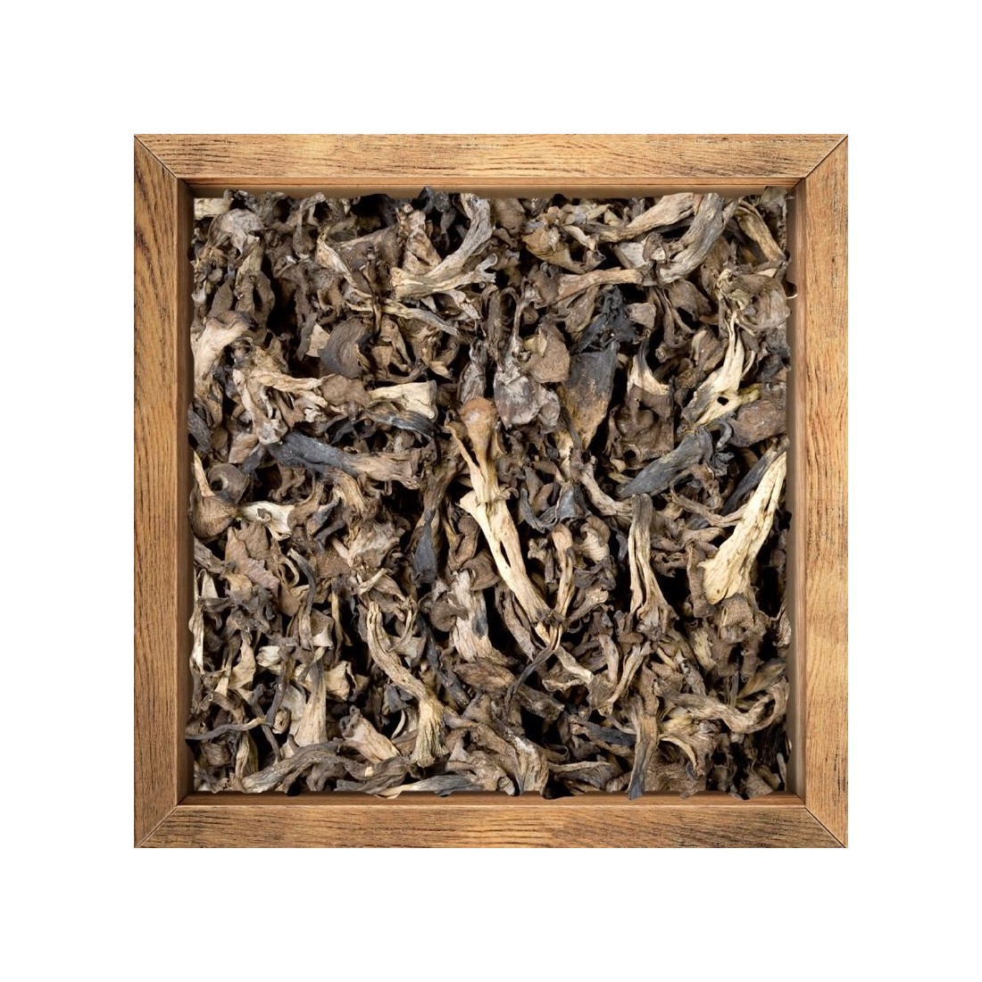 Trompeta negra deshidratada granel