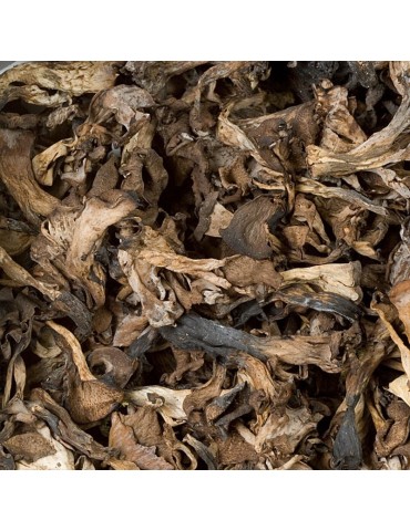 Trompeta negra deshidratada granel