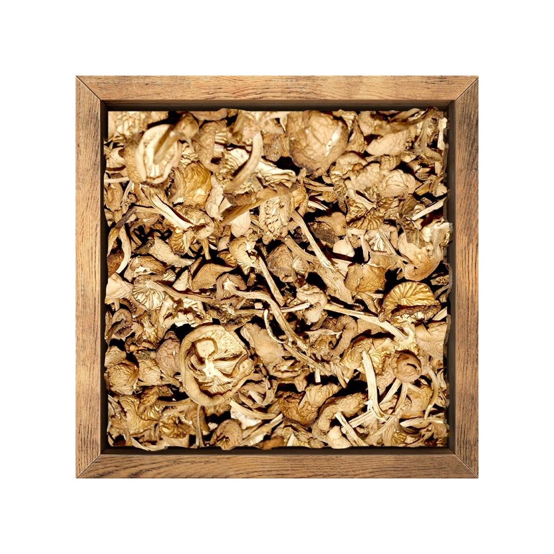 Senderuela deshidratada granel