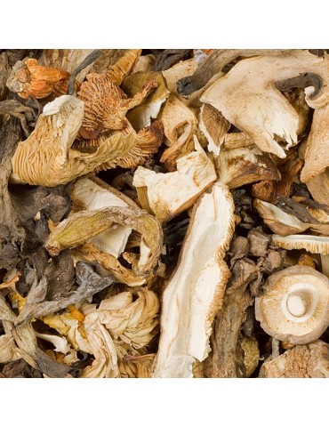 Champignons déshydratés en vrac