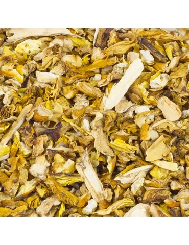 Amanita caesarea en vrac déshydraté