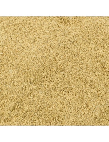 Morchelpilzmehl Bio – Gourmet-Geschmack für jede Küche 2