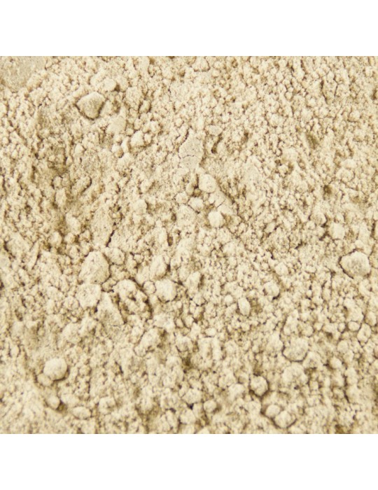 Harina de champiñon granel Harina de champiñon granel