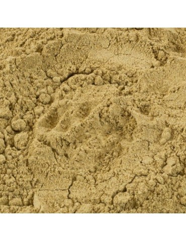 Wildpilzmischung Mehl – Intensiver Umami-Geschmack 2