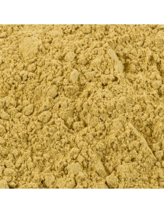 Harina de amanita caesarea, oronja, granel