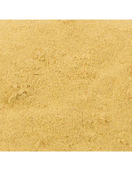 Harina de rebozuelo granel