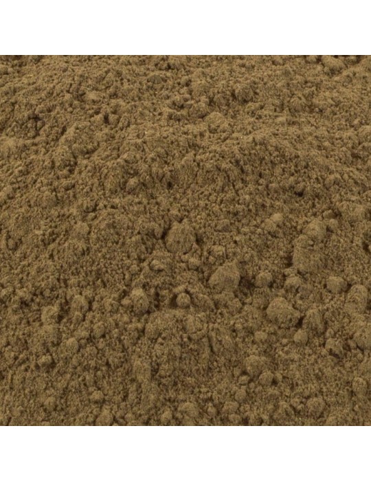 Farine de trompette noire en vrac Farine de trompette noire en vrac