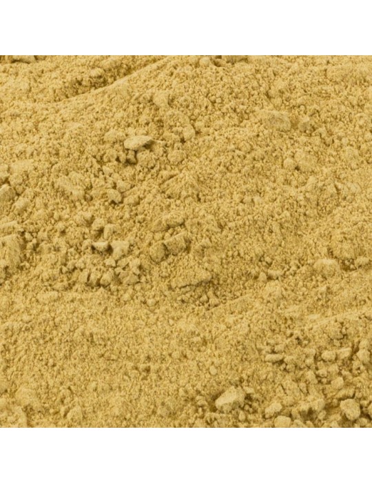 Farine de cèpe en vrac Farine de cèpe en vrac