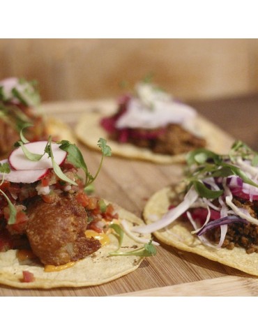 Kit d'auto-culture Sprouts Tacos 2