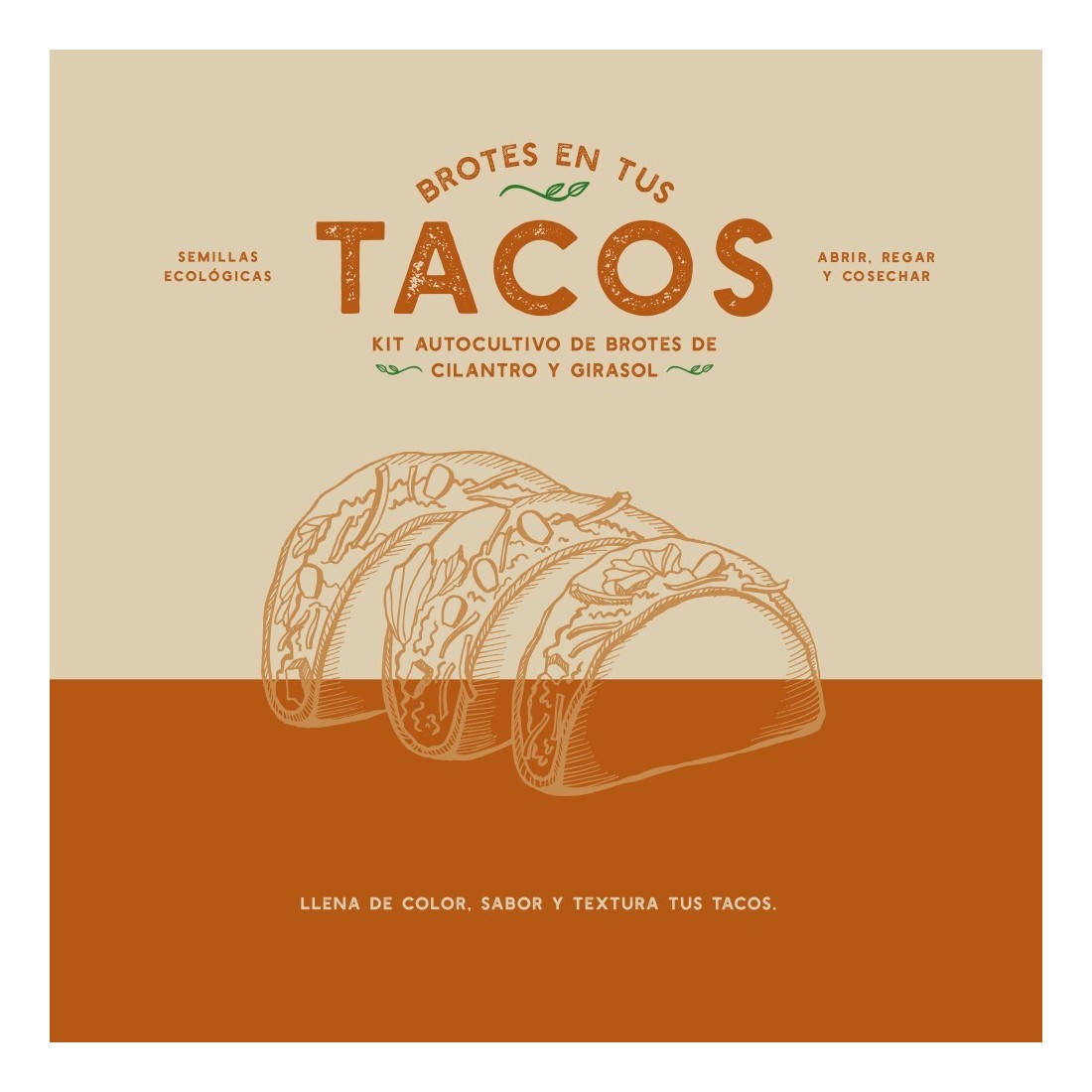 Kit autocultivo Brotes TACOS