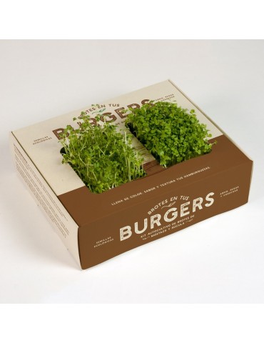 Kit autocultivo Brotes BURGER