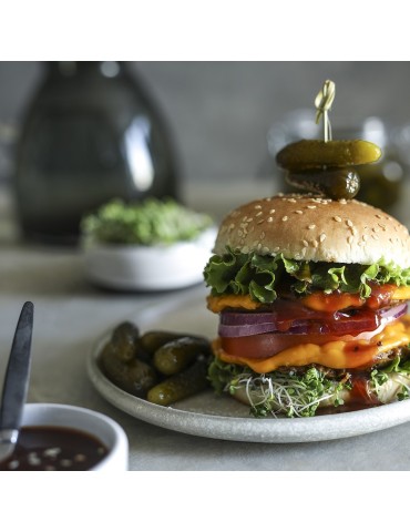 Kit d'auto-culture de germes de burgers 2