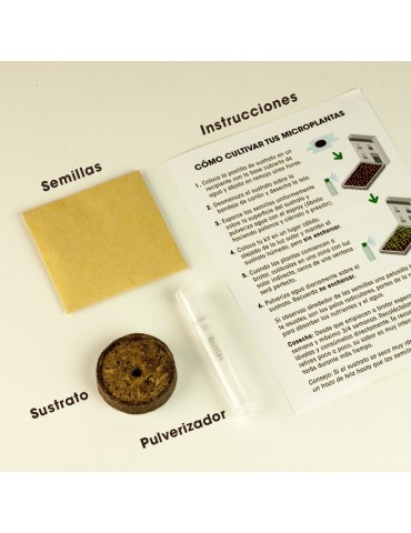 La Casa del Brócoli 2