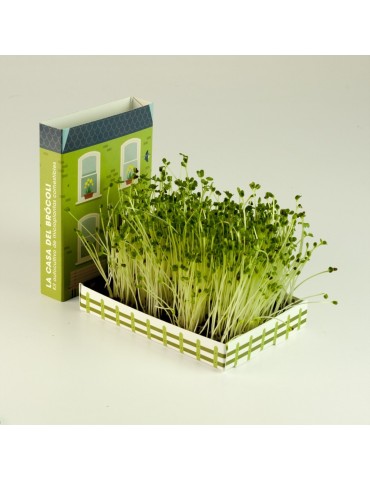 La Maison du Brocoli