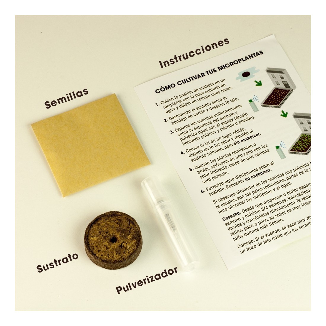 La Casa de la Mostaza