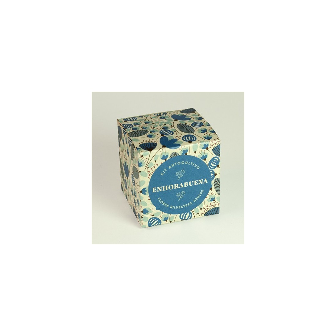 Kit auto-culture le dire avec des fleurs (Félicitations)