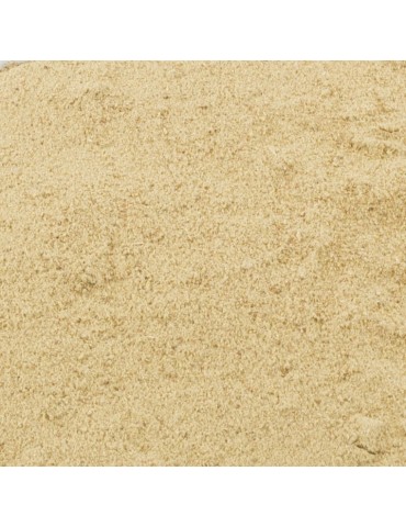 Farinha de Shiitake à Granel - Sabor Umami e Saúde 2