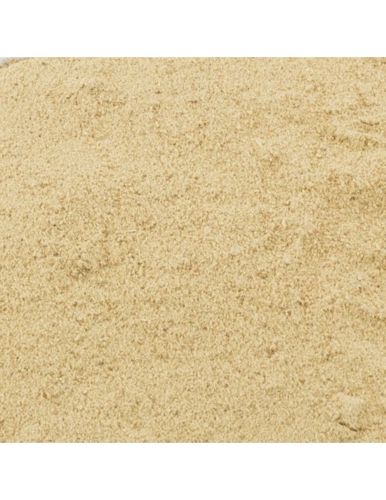 Farine de shiitake en vrac