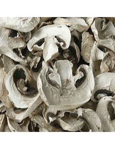 Champiñón deshidratado granel