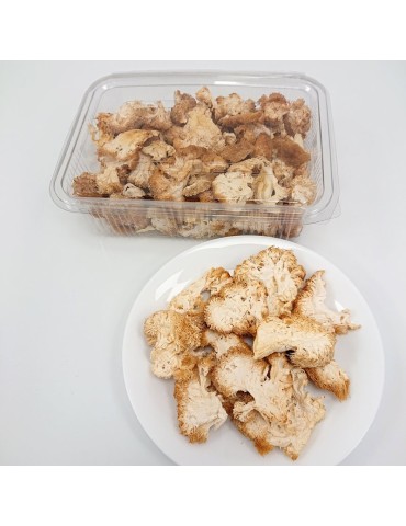 Melena de león, H. erinaceum, deshidratada 2