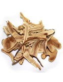 Reishi deshidratado laminado