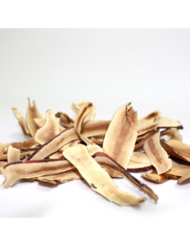 Reishi deshidratado laminado 2