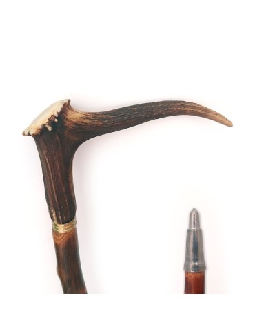 Chestnut flamed gaiad with deer antler 2