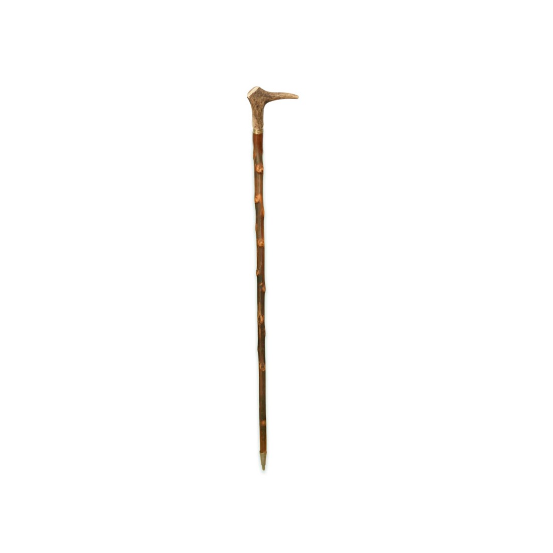 BELLA antica marcata antler handle CACCIA frusta gambo in bambù 