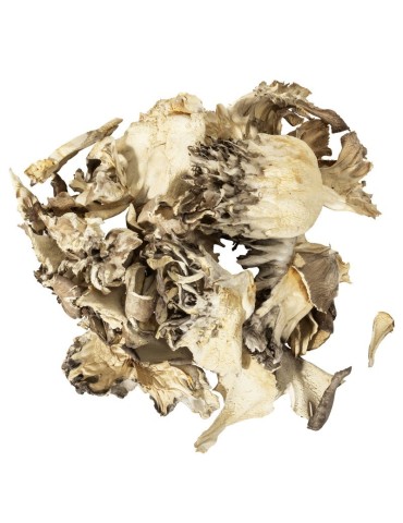 Maitake deshidratado
