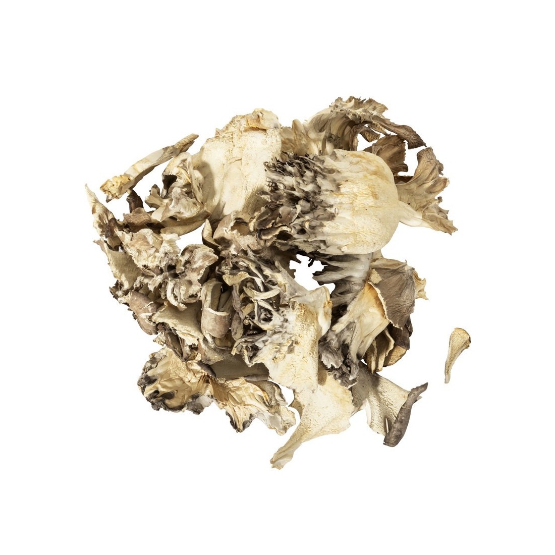 Dehydrated Maitake 30 gr