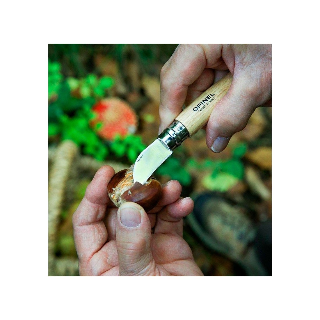 OPINEL Navaja pela castañas y setas nº7