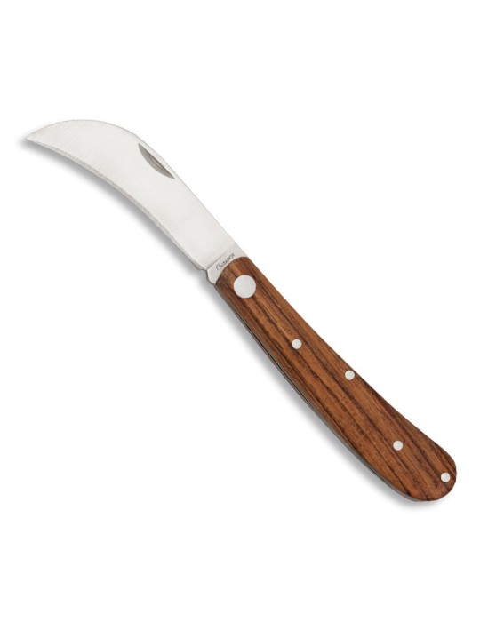 copy of Mushroom knife copy of Mushroom knife
