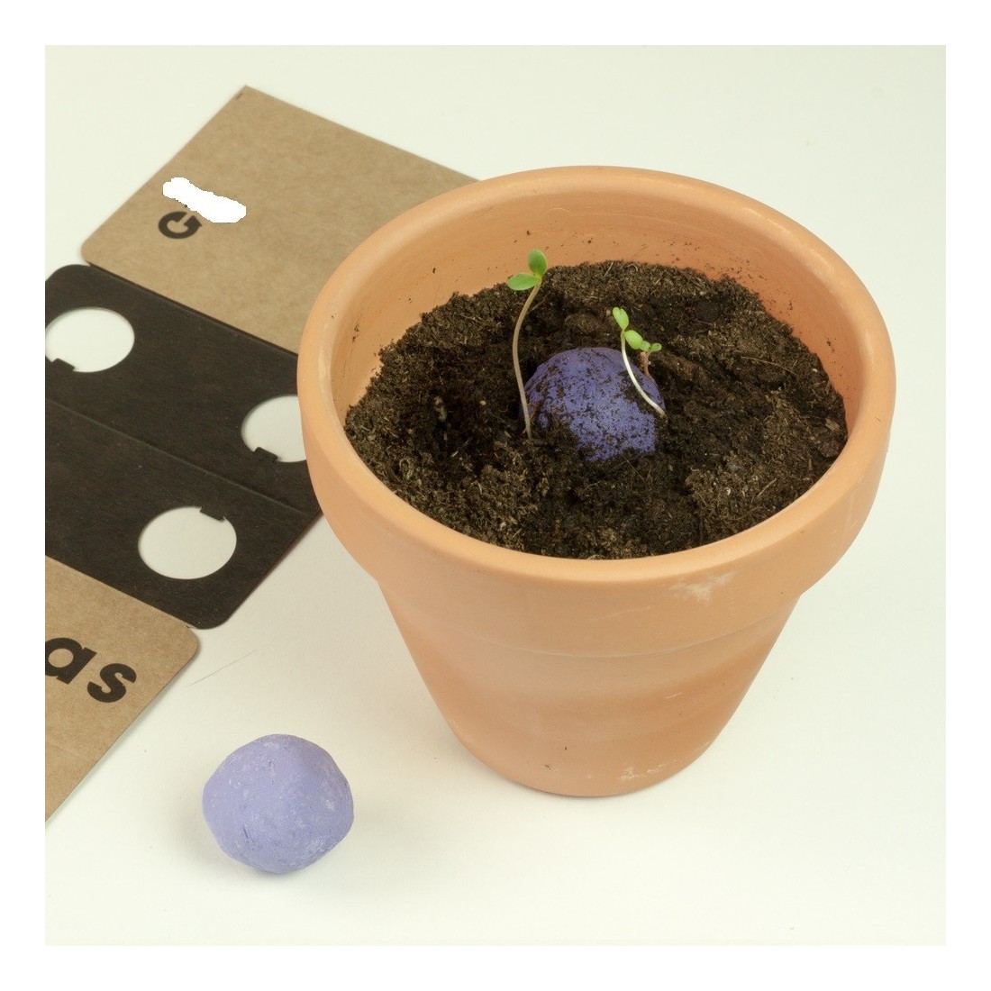 copy of Wild seed bombs