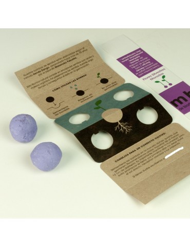 Bombas de biodiversidad FLORES SILVESTRES MORADAS 2