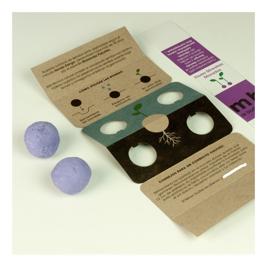 copy of Wild seed bombs