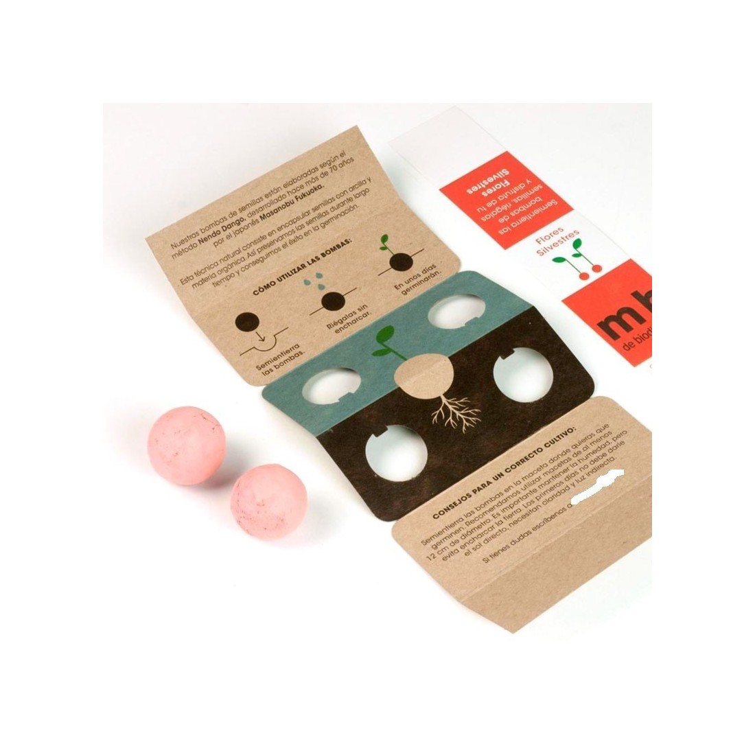 copy of Bombes à graines sauvages