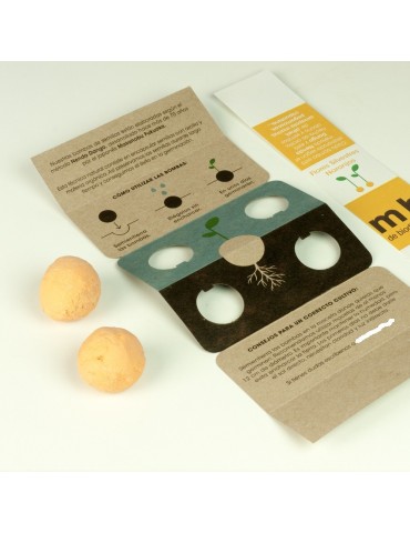 Bombas de biodiversidad FLORES SILVESTRES NARANJAS 2