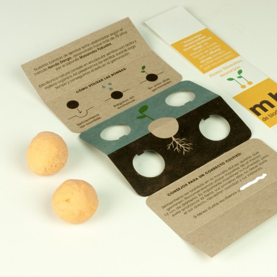 copy of Wild seed bombs