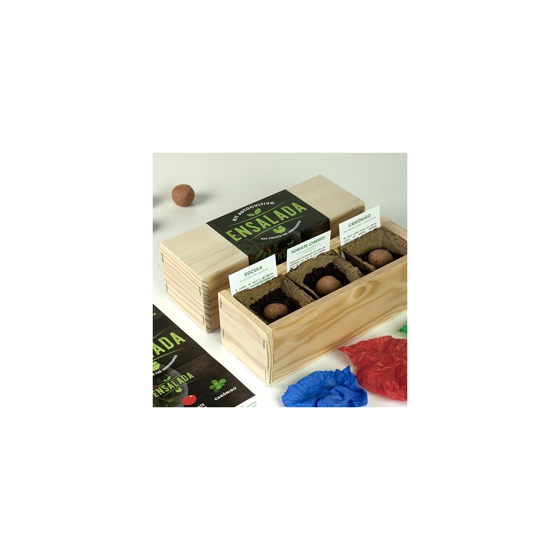 Kit cultivo ENSALADA