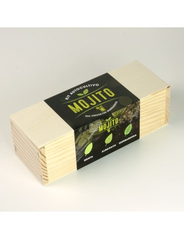 copy of Dessert Growing Kit