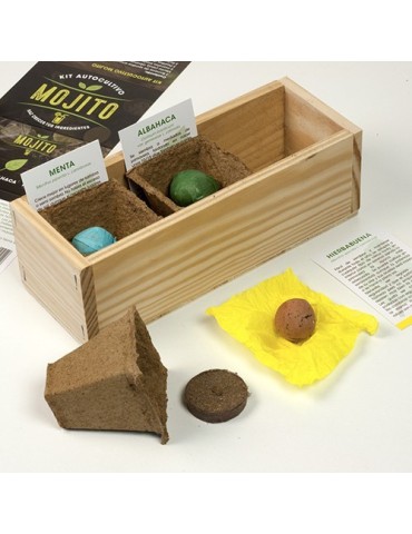 Kit cultivo MOJITO 2