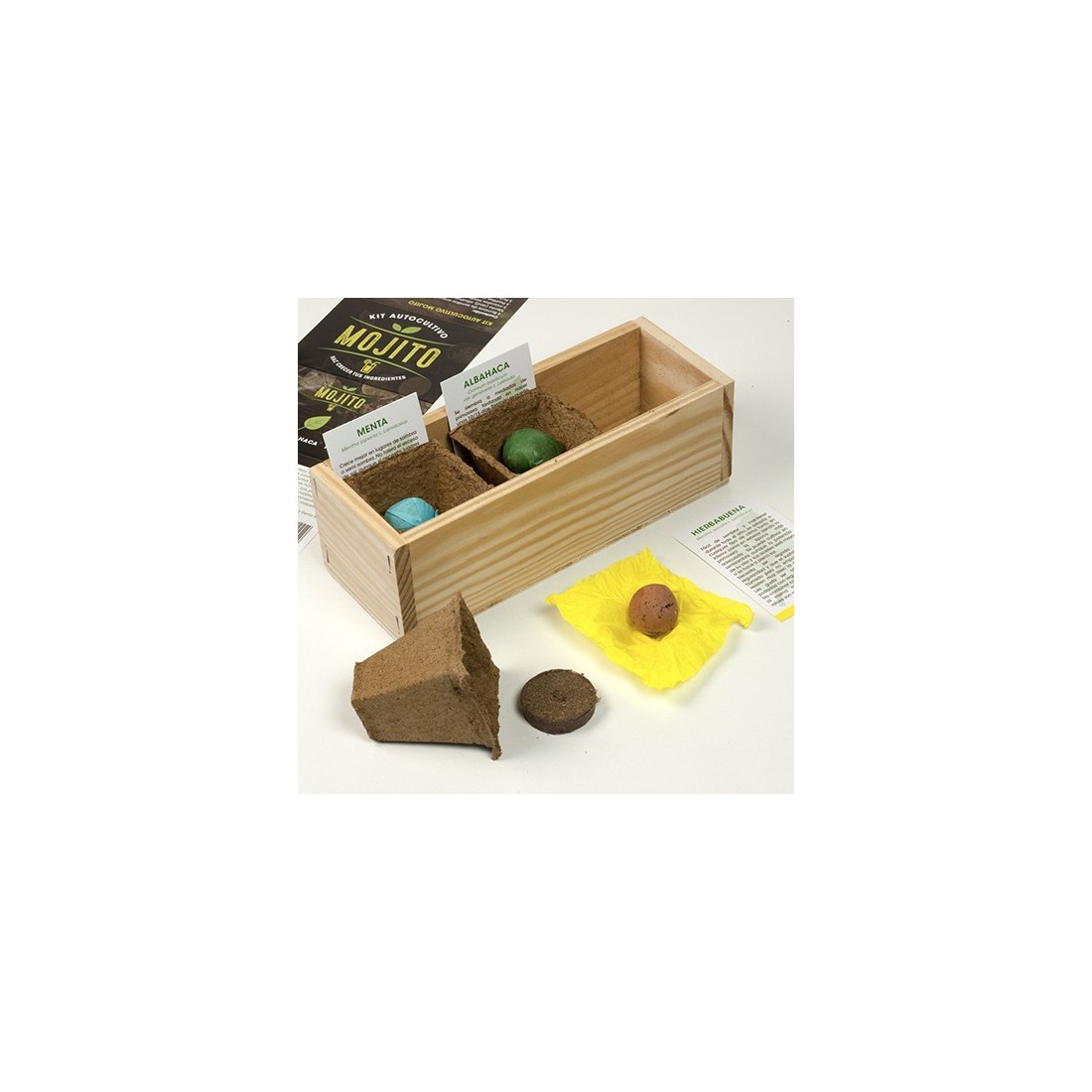 Kit cultivo MOJITO