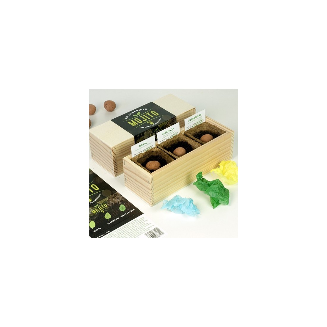 Kit cultivo MOJITO