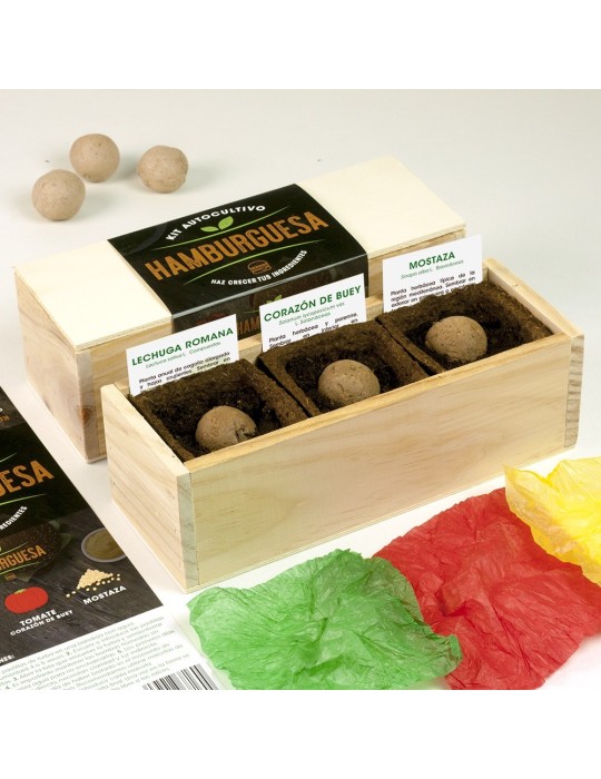 Kit cultivo HAMBURGUESA