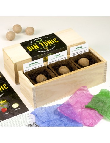 Gin Tonic Growing Kit 2