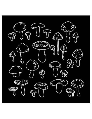 Delantal funghi 2