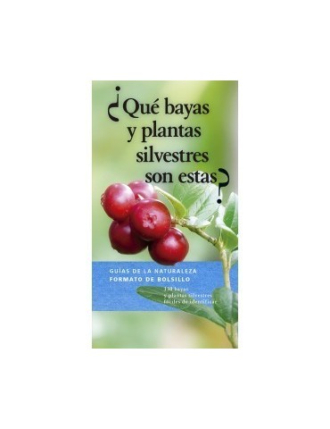 ¿Qué bayas y plantas silvestres son estas? W. DREYER