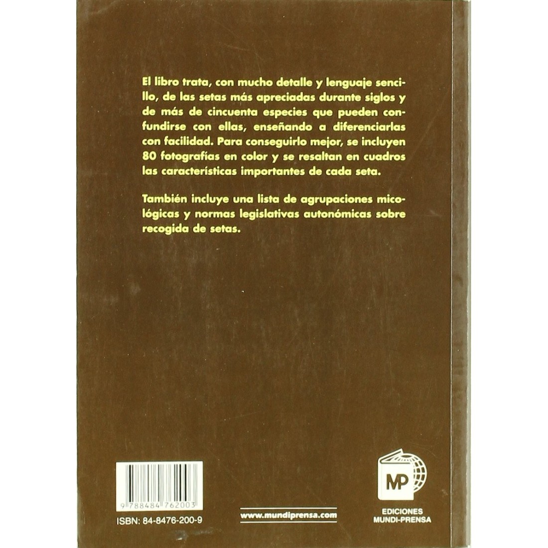 Easy guide to the best mushrooms