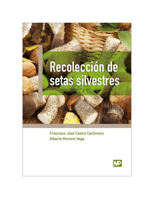Collection de champignons sauvages Collection de champignons sauvages